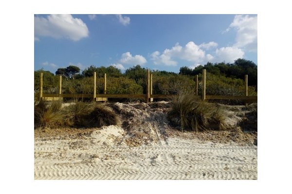 El PSM Més per Menorca demana que es retiri la passarel·la de Son Saura