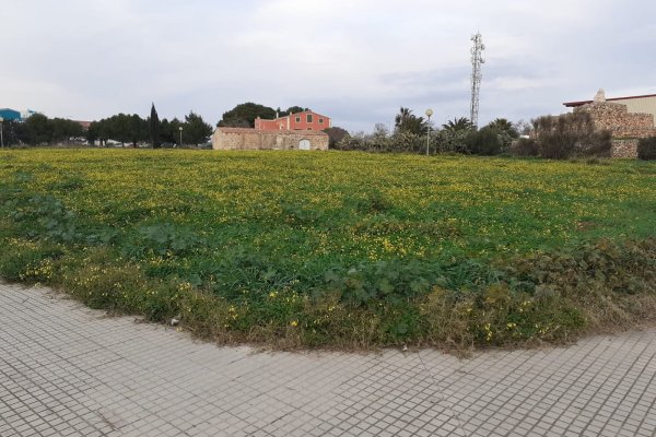 Ciutadella executarà en breu treballs de neteja en una zona verda del Polígon Industrial