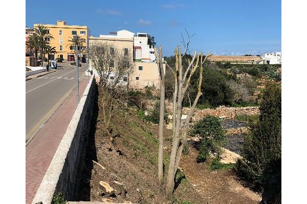 Ciutadella finalitza els treballs de neteja de la zona municipal del canal dels Horts