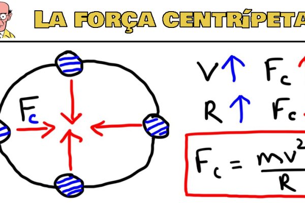 Article Opinió – Miquel A. Maria – “La inèrcia centrípeta de l’Estat”