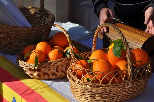 17 de gener, DIADA del POBLE de MENORCA