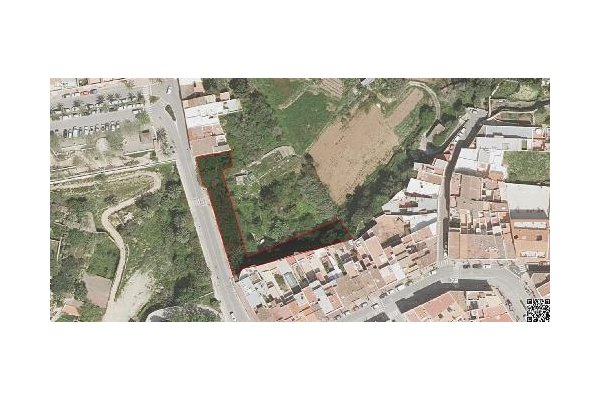 Llum verda per completar les tasques de neteja d’una parcel·la municipal de la colàrsega del port de Ciutadella