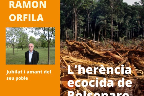 L'herència ecocida de Bolsonaro