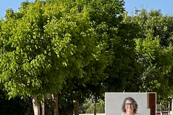 La incorporació de quatre solars permetrà ampliar el parc urbà del Canal Salat i gaudir d’una nova zona d’oci a l’aire lliure