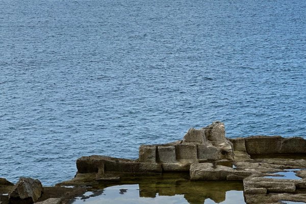 Ciutadella apuja l'aportació del conveni amb el GOB per a la sensibilització i protecció del medi natural